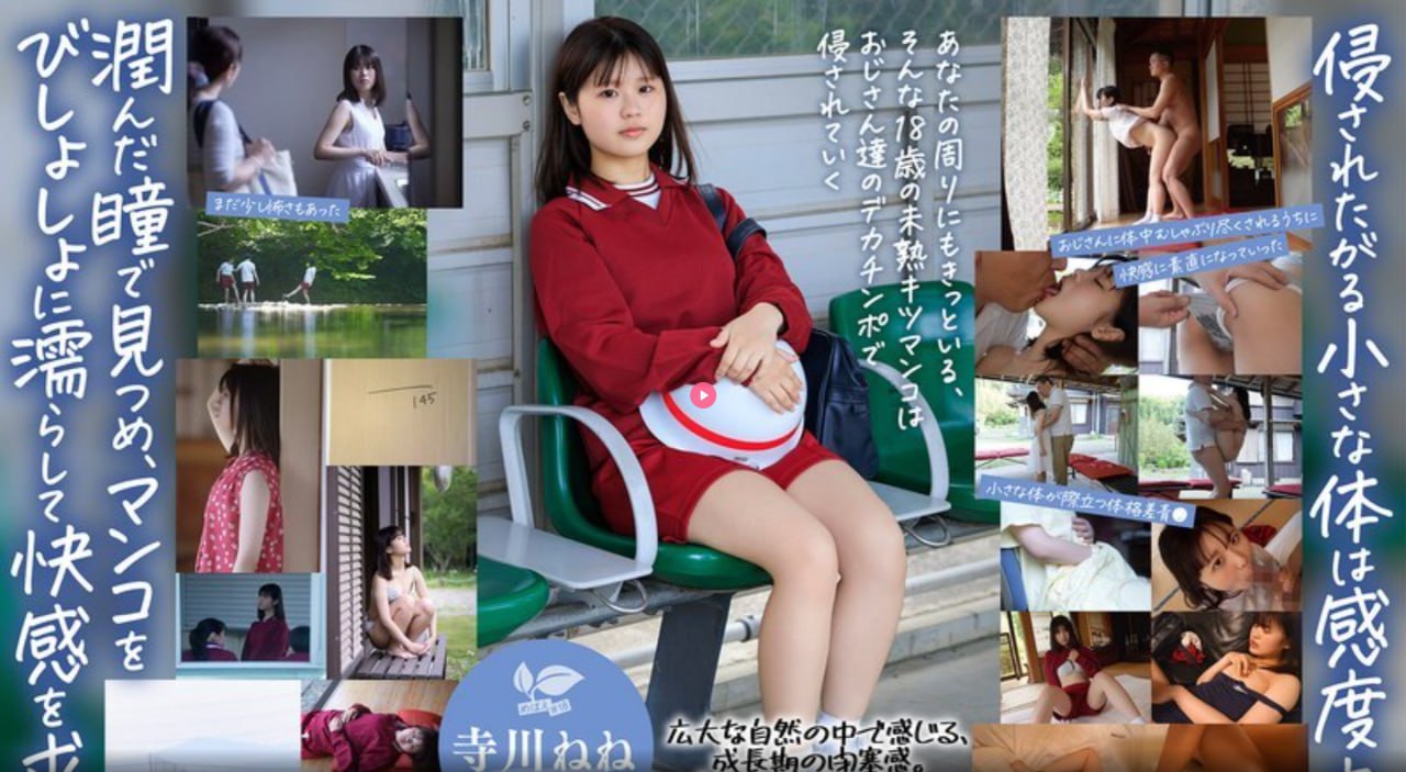 阿拉善在线网メイリン モデルコレクション メ交性Av高清在线观看